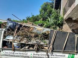 Best Scrap Metal Removal  in San Tan Valley, AZ